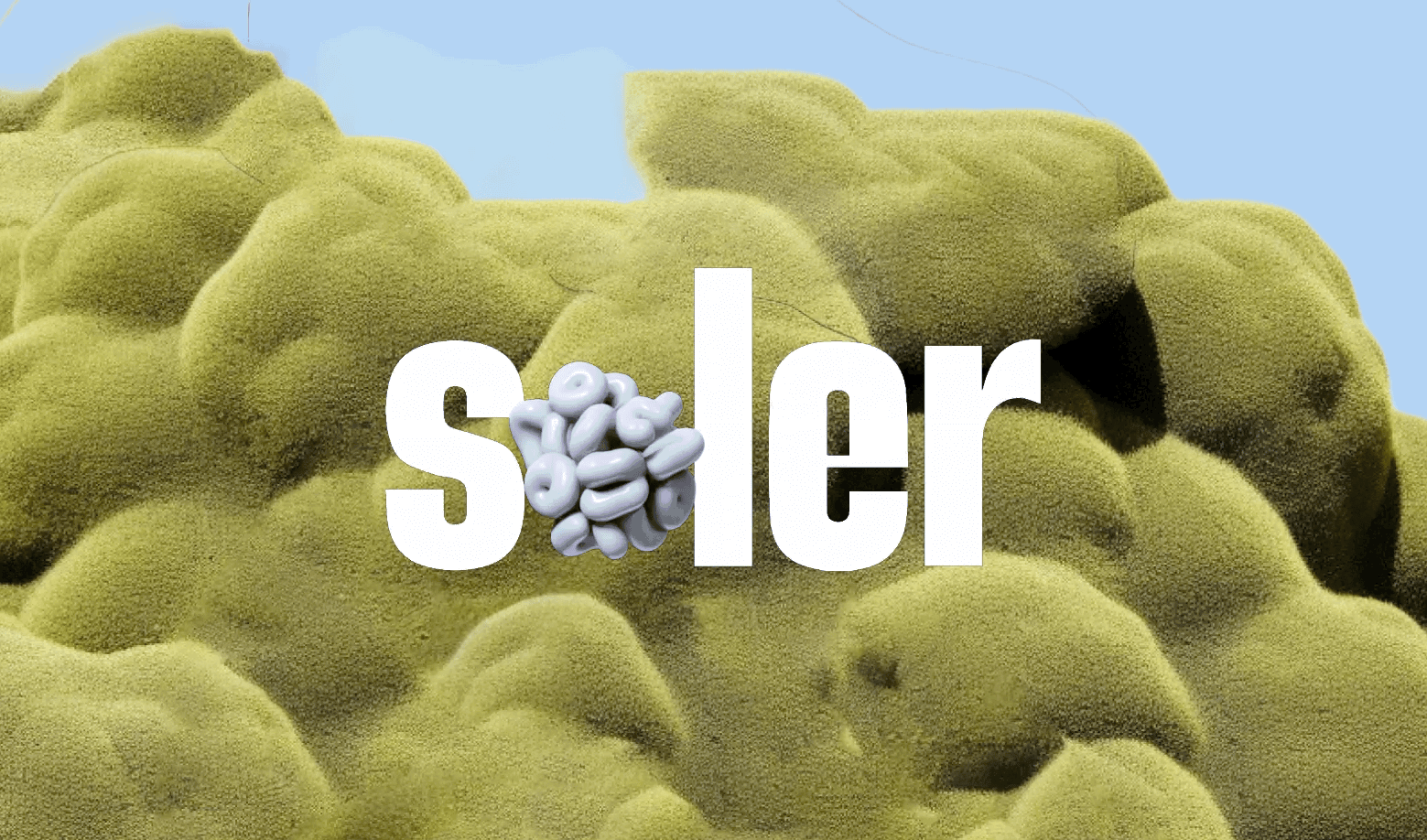Soler Logo